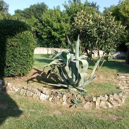 Greentuscany * Forcoli